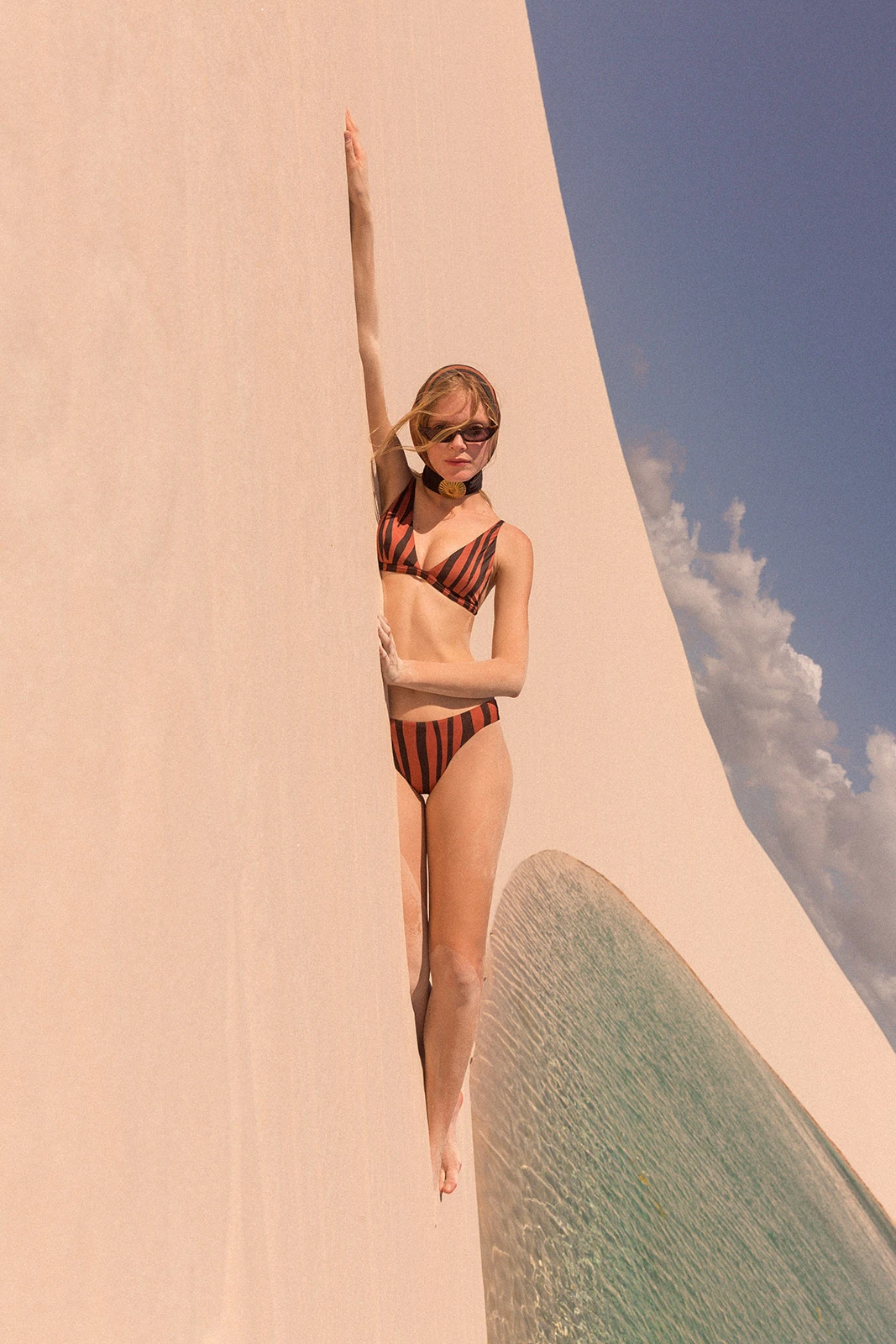 Triangle Bikini With Reversible Bottom Zebra / Black - Bikini Lingerie Double Zebra Vertical / Preto - Image 8