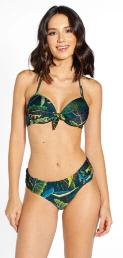 Mt Drapeada Crisalida